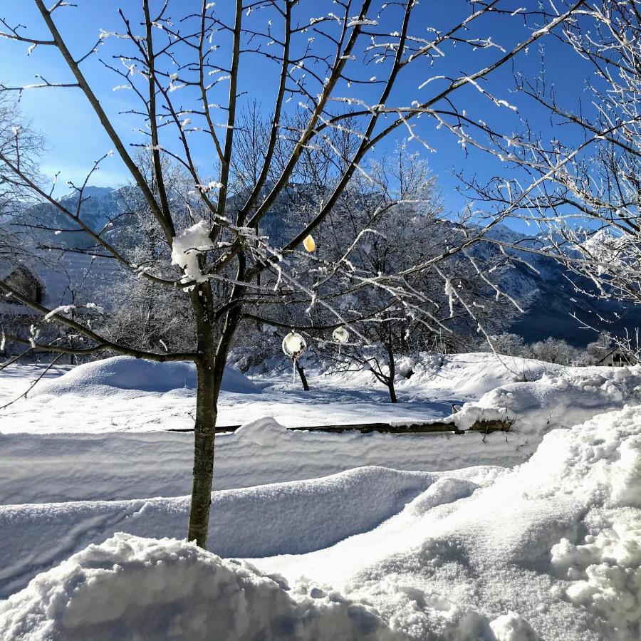 Residence Aurora, Bohinj Exteriér fotografie